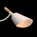 Потолочная люстра на штанге De City Дэла 635014703 (220V)