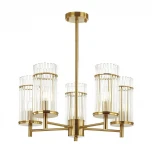 Потолочная люстра Odeon Light Formia 4809/5