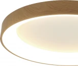 Потолочный светильник круглый Mantra Niseko 8030 (LED, 220V, круглые)