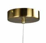 Подвесной светильник Zortes Jessy ZRS.01043.01 (LED, 220V, на проводе, кольцо)