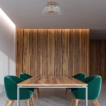 Потолочный светильник круглый светодиодный Lightstar Celesta 809061 (220V, круглые)