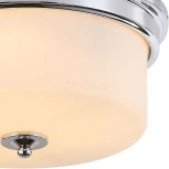 Потолочный светильник Arte Lamp Alonzo A1735PL-3CC