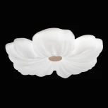 Потолочный светильник круглый светодиодный с пультом De City Мадлен 424019501 (цветы)