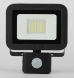 Прожектор уличный Эра LPR-041-2-65K-030