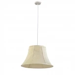 Подвесной светильник Arti Lampadari Cantare E 1.3.P1 W