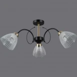 Потолочная люстра на штанге ILLUMICO IL0198-3CSQ-79 BK AB