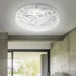 Потолочный светильник светодиодный ЭРА SPB-6-50-4K Syuzi