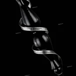 Торшер Maytoni Intreccio ARM010-01-R