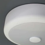 Настенно-потолочный светильник Citilux Фостер-1 CL706110