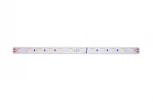 Светодиодная лента DesignLed LUX DSG560-24-WW-33