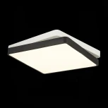 Потолочный светильник Evoluce Qvo SLE200712-01 (LED, 220V)