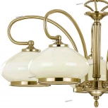 Подвесная люстра Alfa Astoria 5321