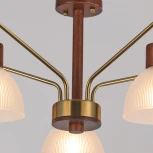 Потолочная люстра на штанге ILLUMICO IL0286-5C-79 BR (220V)