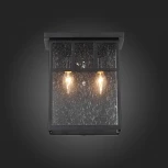 Настенный светильник уличный ST Luce Glazgo SL079.401.02