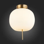 Потолочная люстра ST Luce Lacus SL1621.202.01