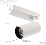 Трековый светильник ЭРА SТR-30-36-30K-W30 (LED, 220V, круглые, IP40)