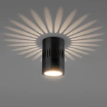 Накладной точечный светильник Elektrostandard DLS026 (LED, 220V, круглые)