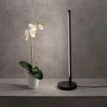 Интерьерная настольная лампа Mantra Torch 6738 (LED, 220V)