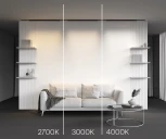 Трековый светильник магнитный 21W 24V Maytoni Basis TR192-1-21W4K-B (LED)