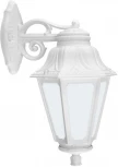 Настенный фонарь уличный Fumagalli Anna E22.131.000.WYF1RDN (220V, IP44)