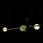 Подвесной светильник Loft It Jardin 10121/C Dark grey (LED, 220V, на тросе, шарики, асимметрия)