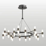 Подвесная люстра LED Lussole Hopkins LSP-7407 (220V, на проводе)