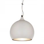 Подвесной светильник Lussole Loft Aosta LSN-6126-01