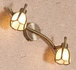 Спот на штанге Citilux Альтен CL522521 (220V, цветы)