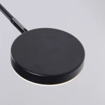 Настенный светильник Favourite Vorago 4572-1W (LED, 220V)