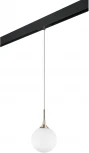 Трековый светильник однофазный 220V Lightstar Globo PRO813023 (шар)