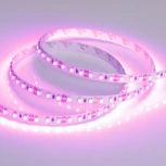 Светодиодная лента RT-A120-8mm 12V Pink (9.6 W/m, IP20, 2835, 5m) (Arlight, Открытый) 015897(2)