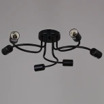 Потолочная люстра Reluce 01742-0.3-06 BK (220V)