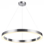 Подвесной светильник Odeon Light Brizzi 4244/45L