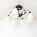 Потолочная люстра Citilux Крокус CL128141