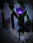 Грунтовый светильник на солнечной батарее Uniel USL-C-453/PT305 PURPLE TULIP (LED, цветы)