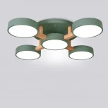 Потолочная люстра Joist 5 Green Imperiumloft Joist01 (178330-26) (LED, 220V, пульт управления, круглые)