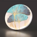 Настенно-потолочный светильник светодиодный Sonex Floren 7747/EL PALE SN пластик/белый/мульти LED 70Вт 3000-6000К D480 IP43 пульт ДУ (220V, круглые)