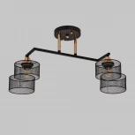 Потолочная люстра на штанге Imex MD.4252-2-S-BK+FGD