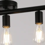 Потолочная люстра ILLUMICO IL2012-5C-79 BK (220V)