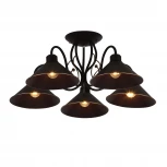 Потолочная люстра Evoluce Ciolla SLE120402-05 (220V)