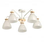 Потолочная люстра на штанге De City Дэла 116010205