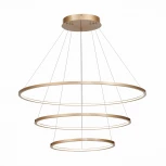 Подвесной светильник ST Luce St603 in ST603.243.114 (LED, 220V, на тросе, кольцо)