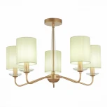 Потолочная люстра Evoluce Rita SLE108002-05