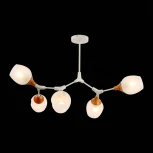 Потолочная люстра на штанге Evoluce Ciotolla SLE113502-05 (220V, шарики)