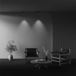 Потолочный светильник накладной Maytoni Focus Led C056CL-L12W2.7K-W-BS (220V, круглые)