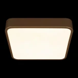 Потолочные светильники Loft It Flims 10228/C (LED, 220V)