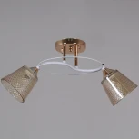 Потолочная люстра на штанге Reluce 06003-0.3-02 FG+WT (220V)