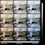 Настенно-потолочный светильник Globo Felion 41333