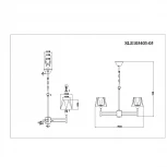 Подвесная люстра Evoluce Lagoro SLE105403-05