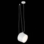 Подвесной светильник Evoluce Trieste SLE120653-01 (220V)